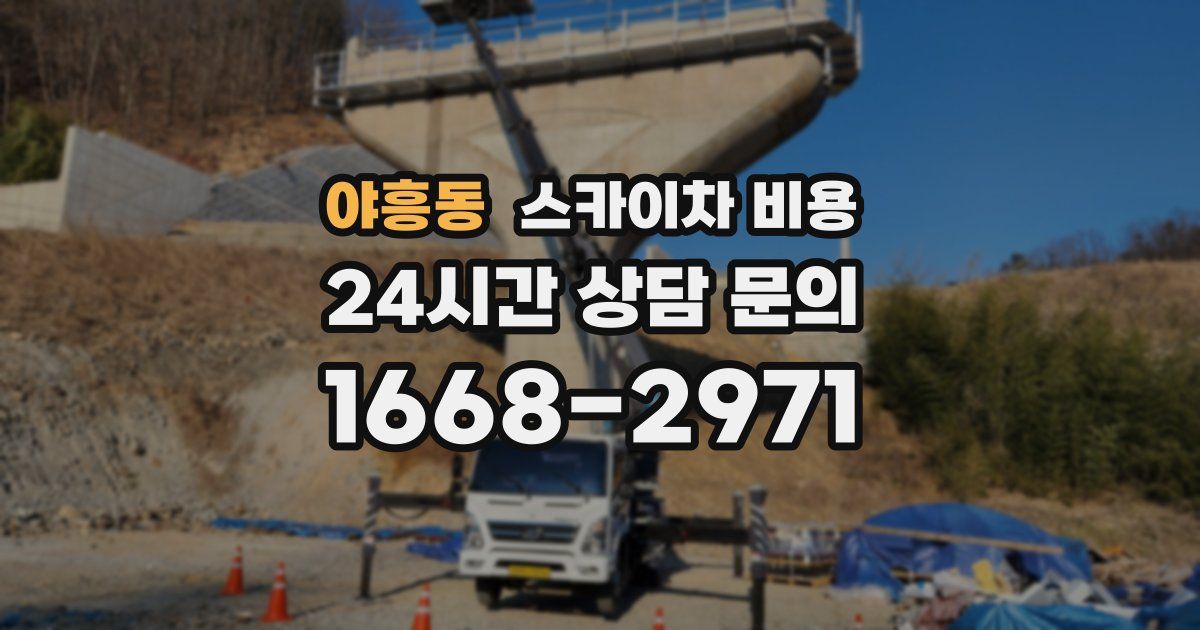 야흥동 스카이차 비용