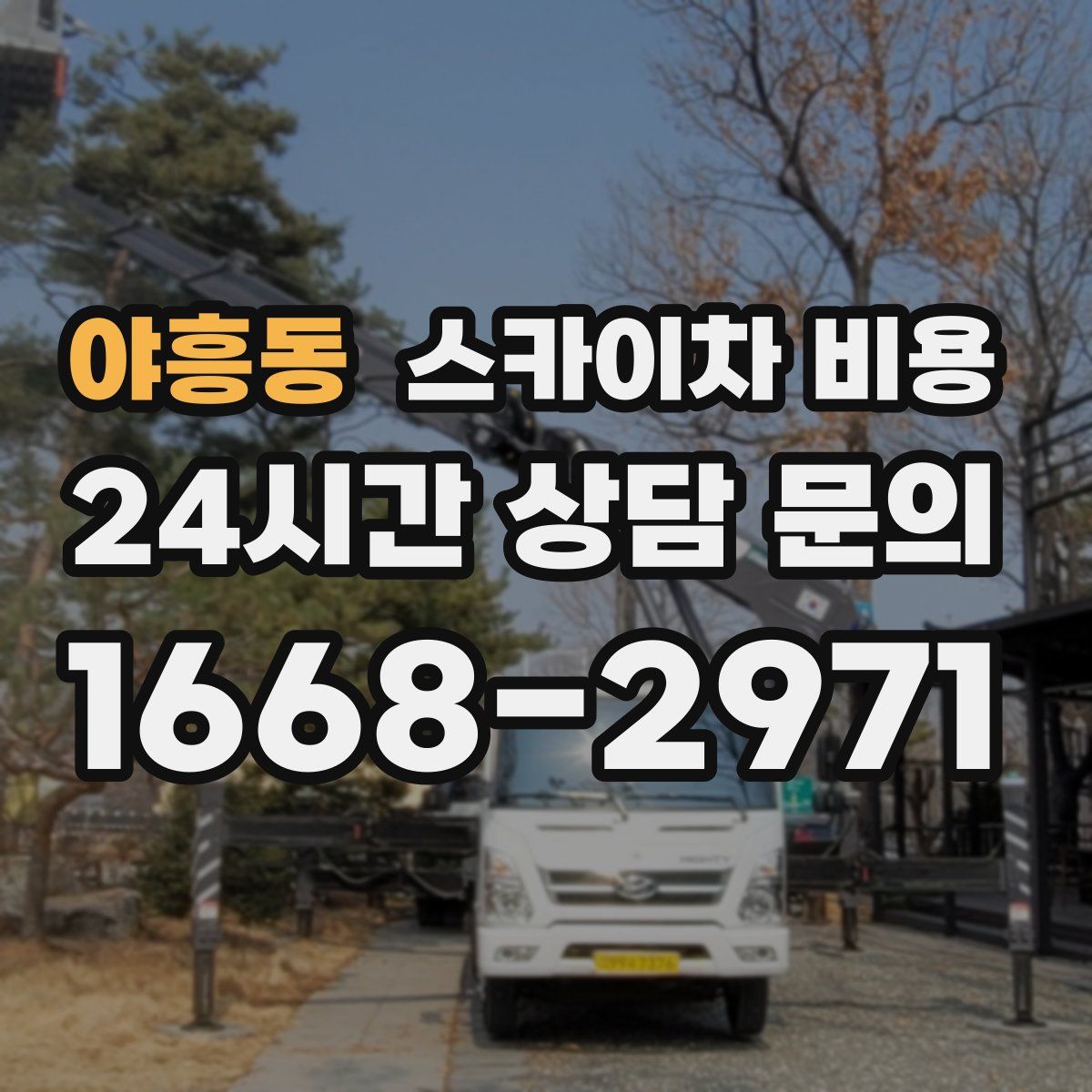 야흥동 스카이차 비용