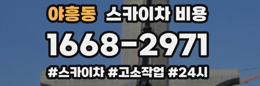 야흥동 스카이차 비용