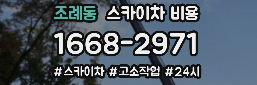 조례동 스카이차 비용