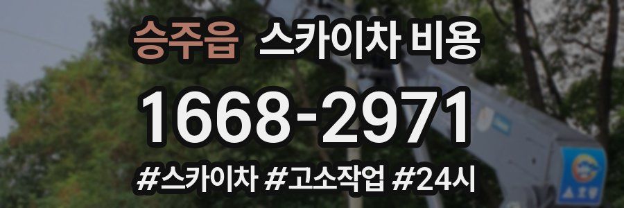 승주읍 스카이차 비용