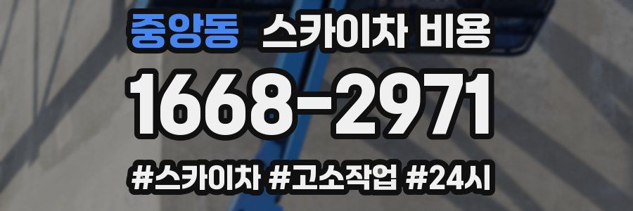 중앙동 스카이차 비용