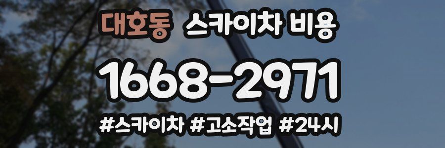 대호동 스카이차 비용