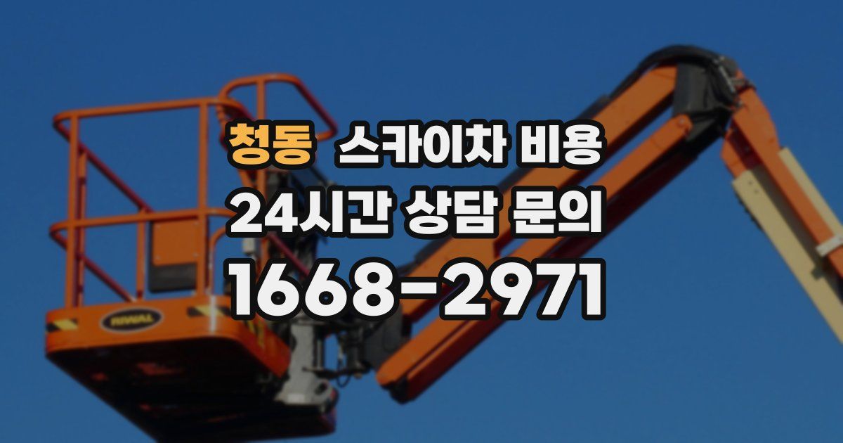 청동 스카이차 비용