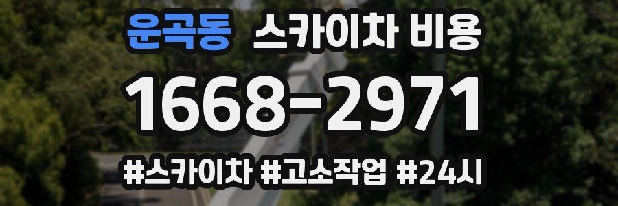 운곡동 스카이차 비용