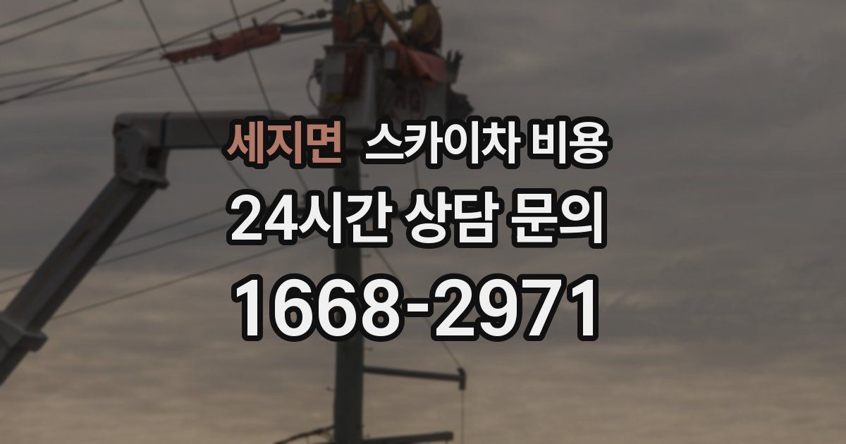 세지면 스카이차 비용