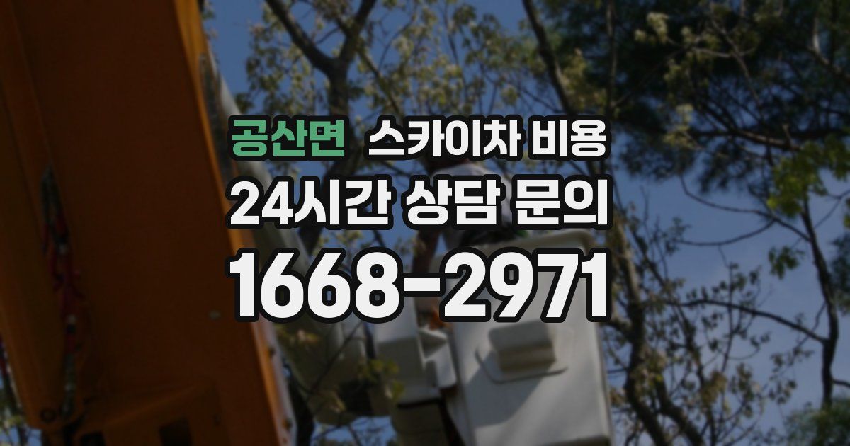 공산면 스카이차 비용