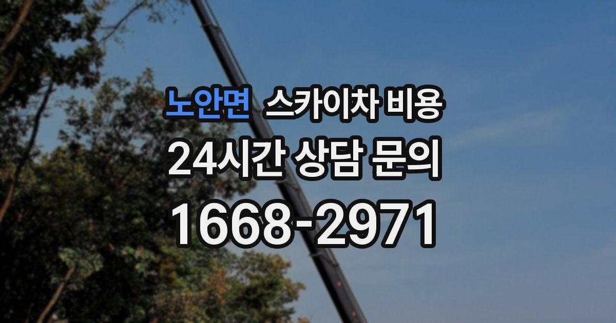 노안면 스카이차 비용