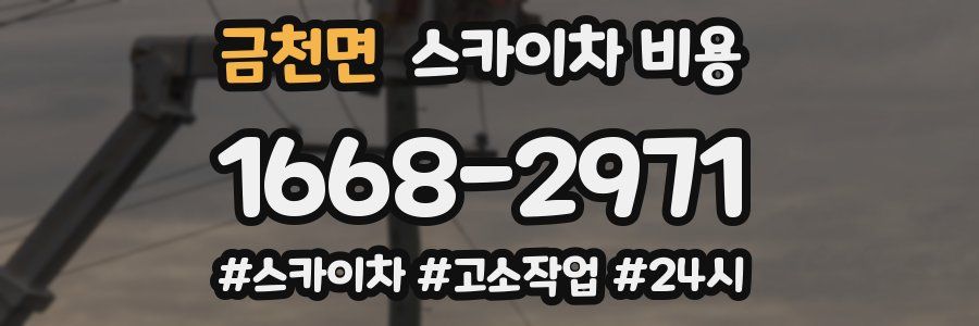 금천면 스카이차 비용