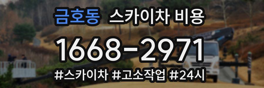 금호동 스카이차 비용