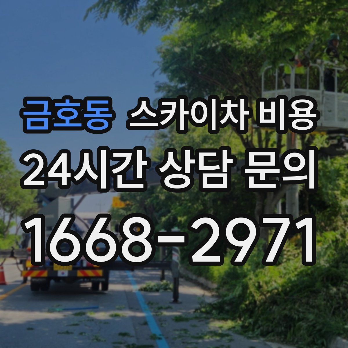 금호동 스카이차 비용