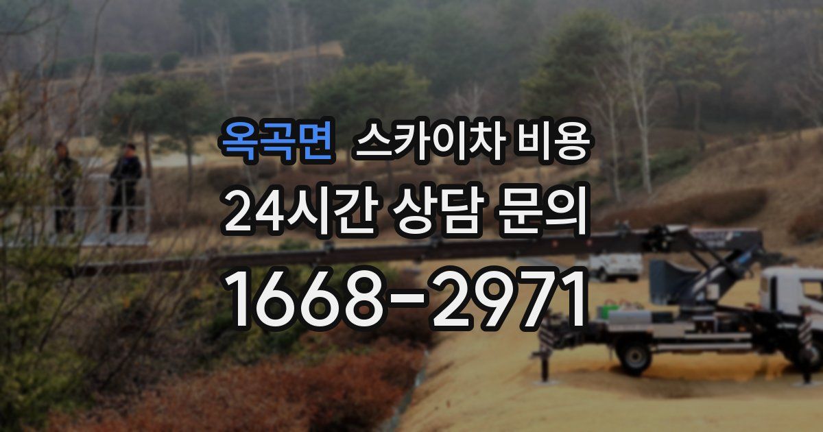 옥곡면 스카이차 비용