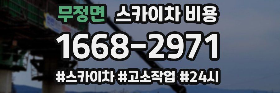 무정면 스카이차 비용