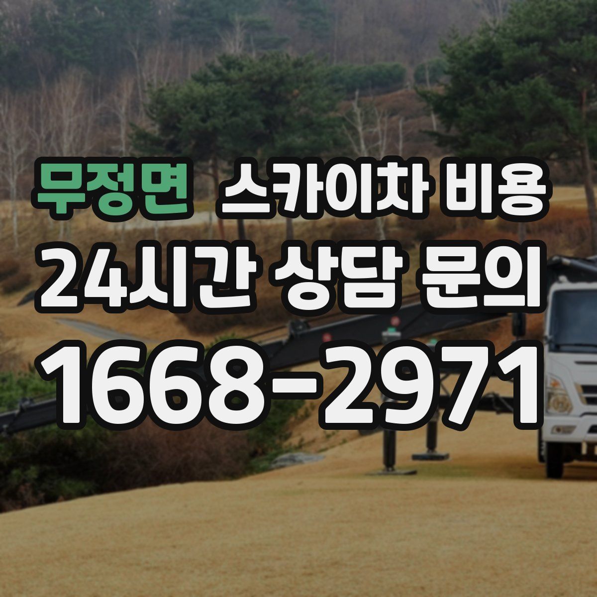 무정면 스카이차 비용