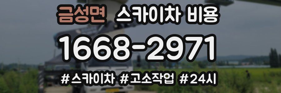 금성면 스카이차 비용