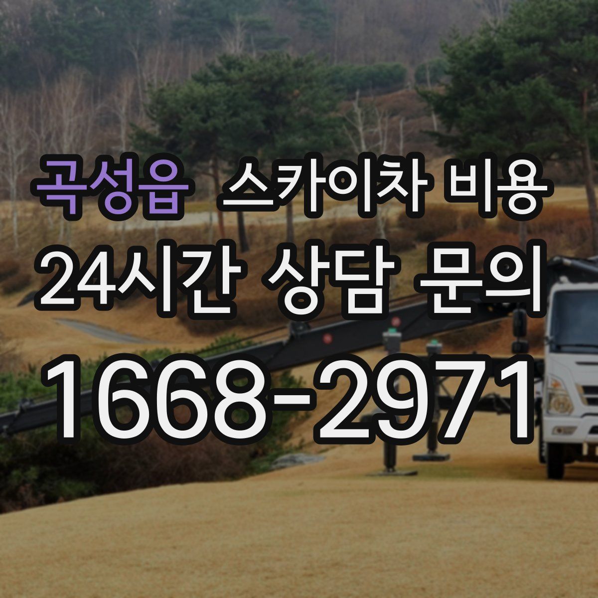 곡성읍 스카이차 비용