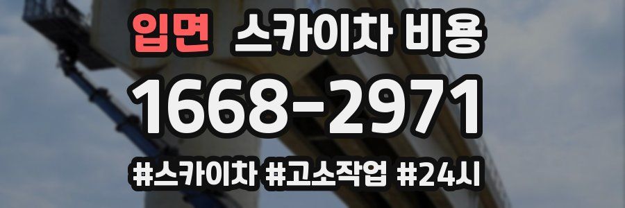 입면 스카이차 비용