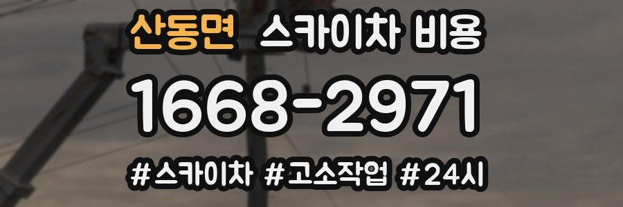 산동면 스카이차 비용