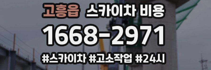 고흥읍 스카이차 비용