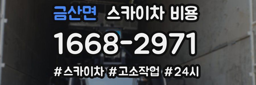 금산면 스카이차 비용