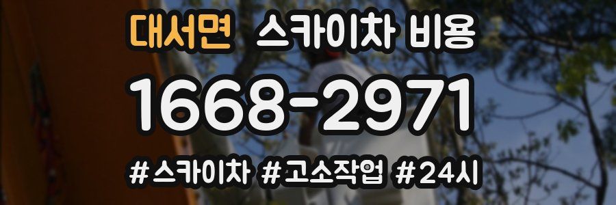 대서면 스카이차 비용