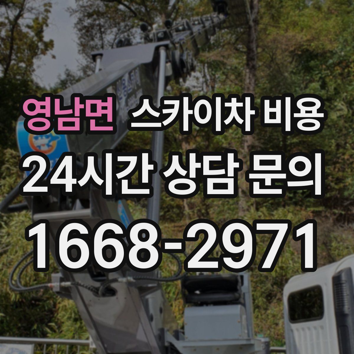 영남면 스카이차 비용