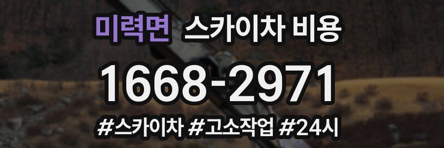 미력면 스카이차 비용