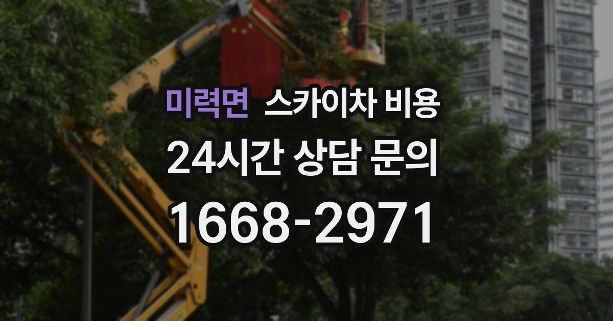 미력면 스카이차 비용