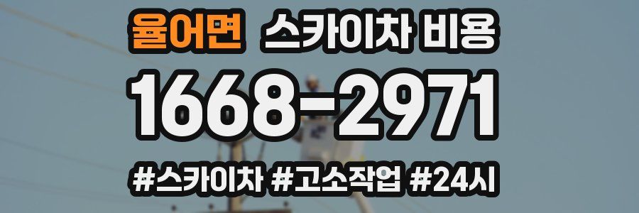 율어면 스카이차 비용