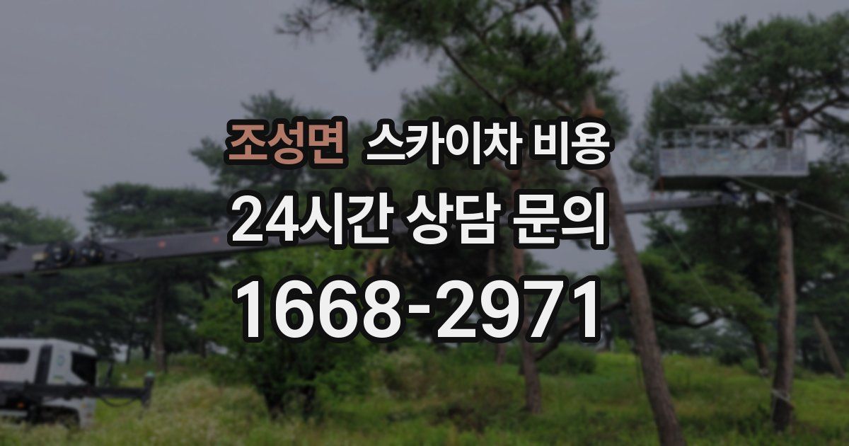 조성면 스카이차 비용