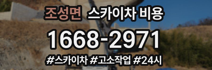 조성면 스카이차 비용