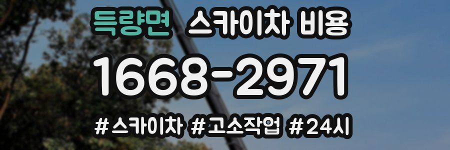 득량면 스카이차 비용