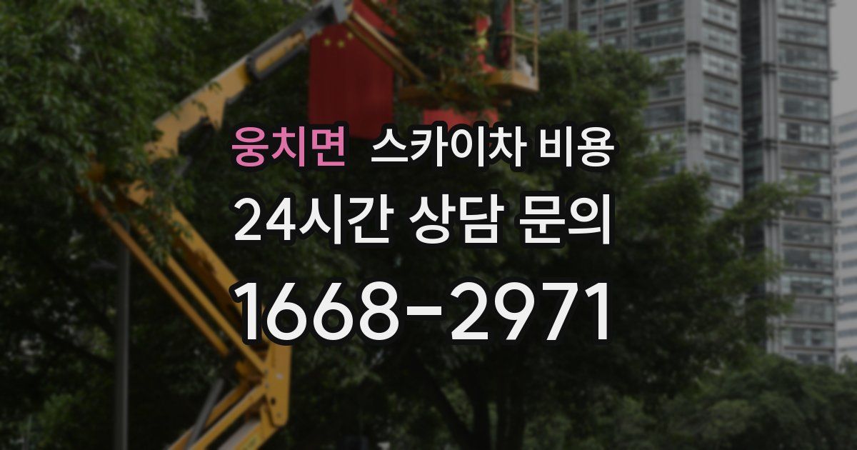 웅치면 스카이차 비용