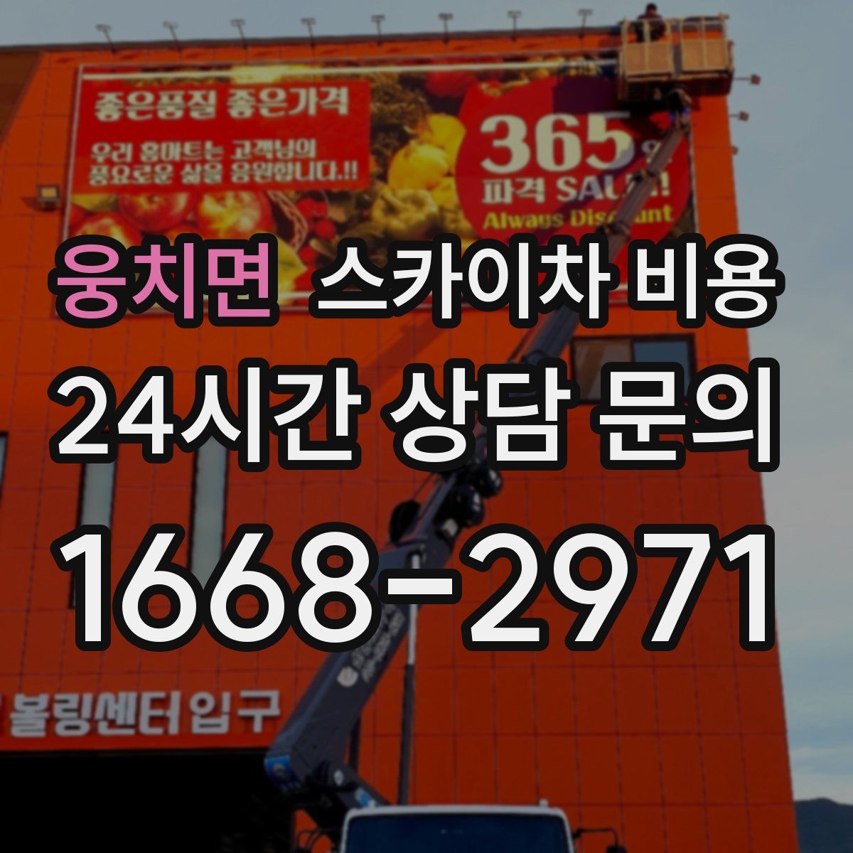 웅치면 스카이차 비용
