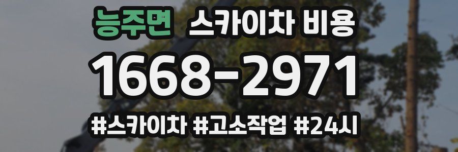 능주면 스카이차 비용