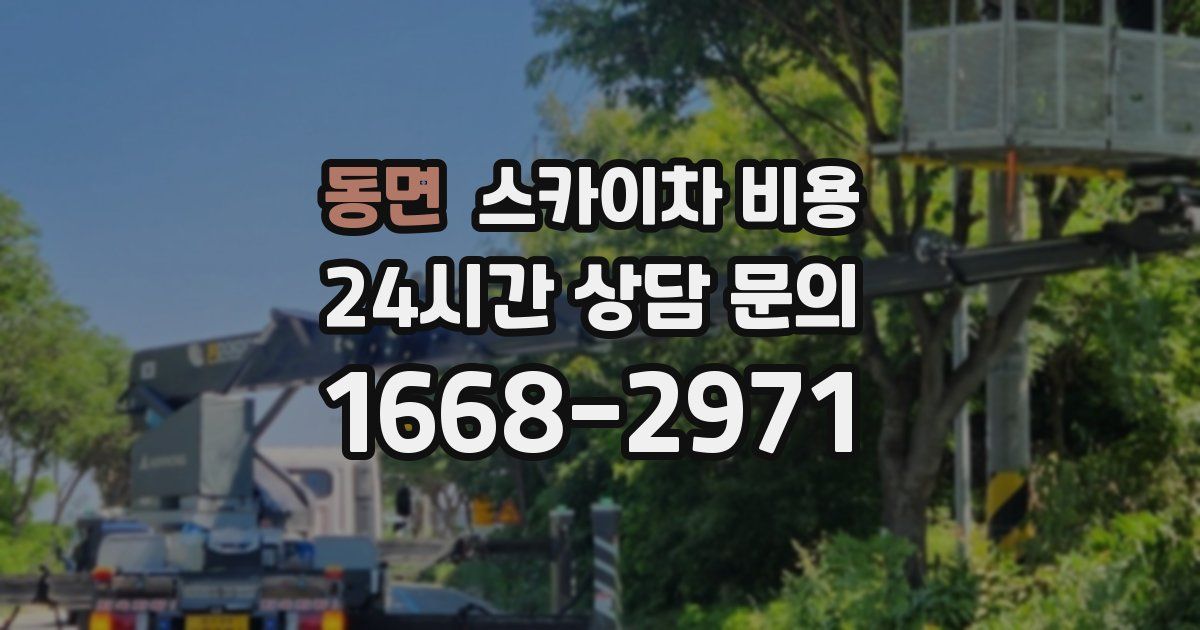 동면 스카이차 비용