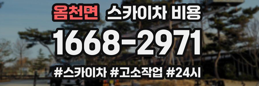 옴천면 스카이차 비용