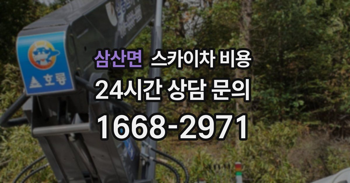 삼산면 스카이차 비용