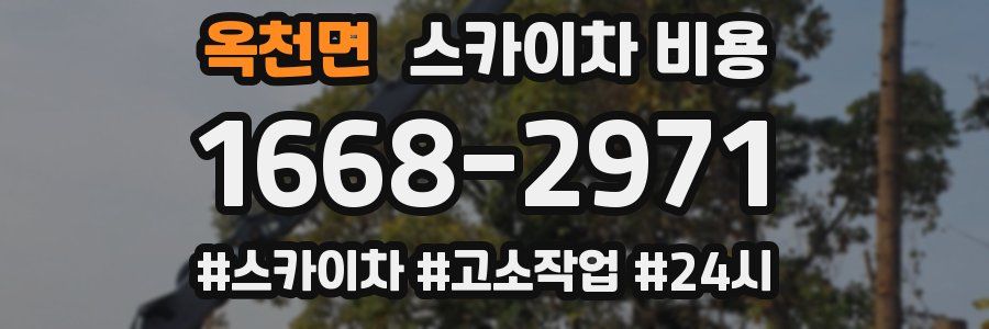 옥천면 스카이차 비용