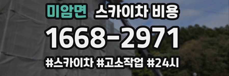 미암면 스카이차 비용