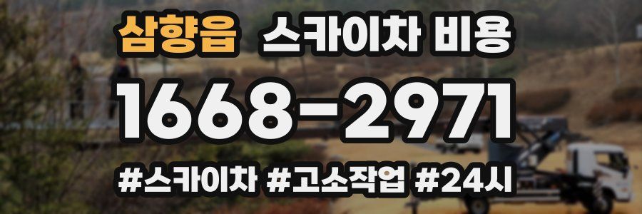 삼향읍 스카이차 비용