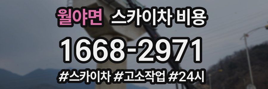 월야면 스카이차 비용