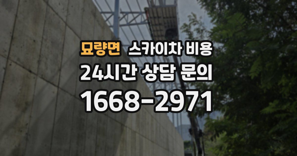 묘량면 스카이차 비용