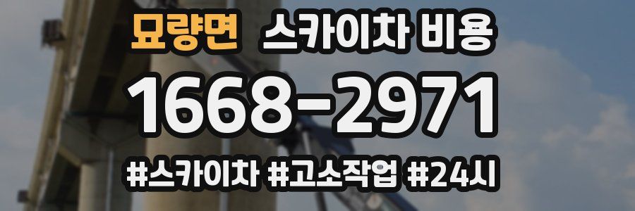 묘량면 스카이차 비용