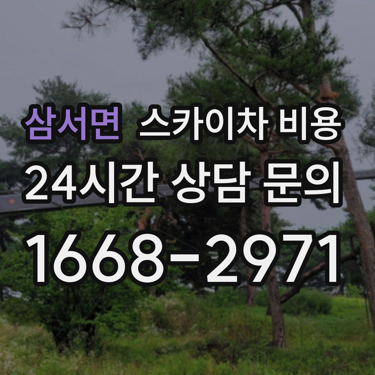 삼서면 스카이차 비용