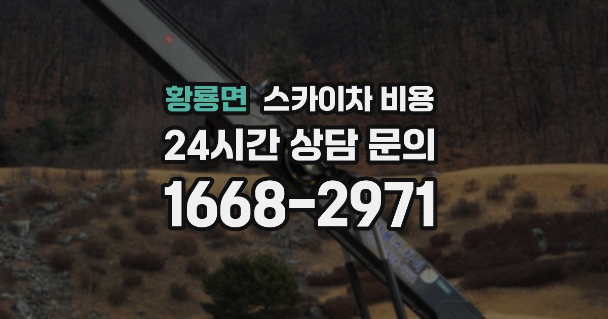 황룡면 스카이차 비용