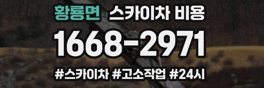 황룡면 스카이차 비용