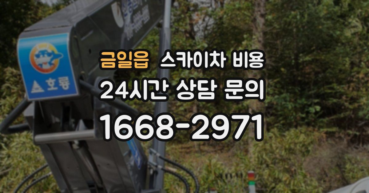 금일읍 스카이차 비용