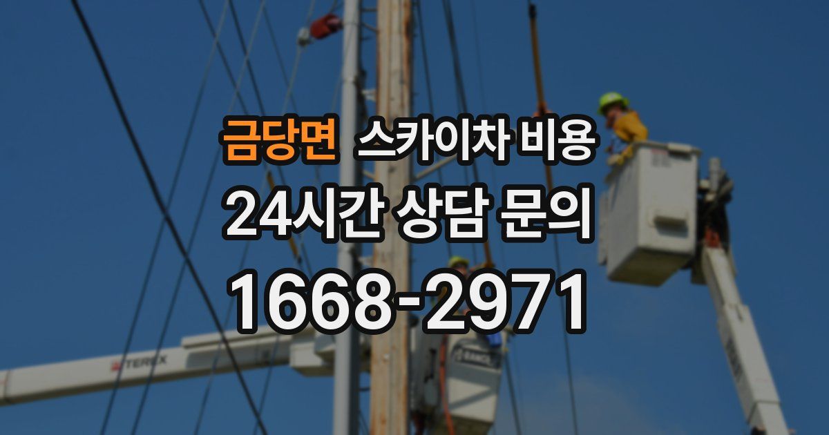 금당면 스카이차 비용