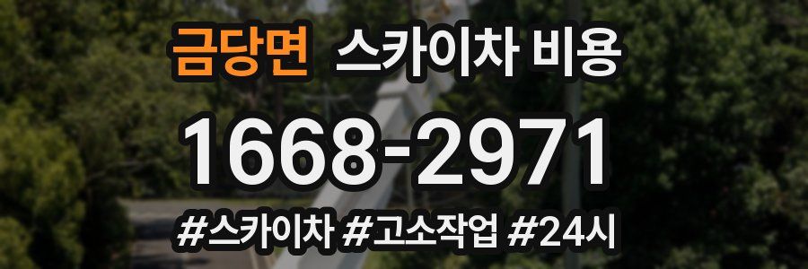 금당면 스카이차 비용